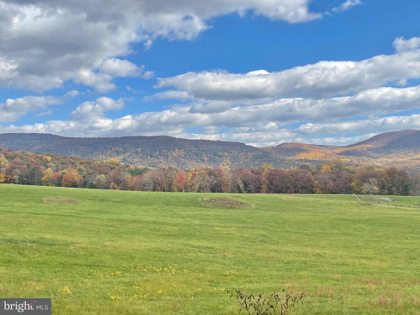 BUCK MOUNTAIN RD, BENTONVILLE, Virginia 22610, ,Land,For sale,BUCK MOUNTAIN RD,VAWR2009140 MLS # VAWR2009140