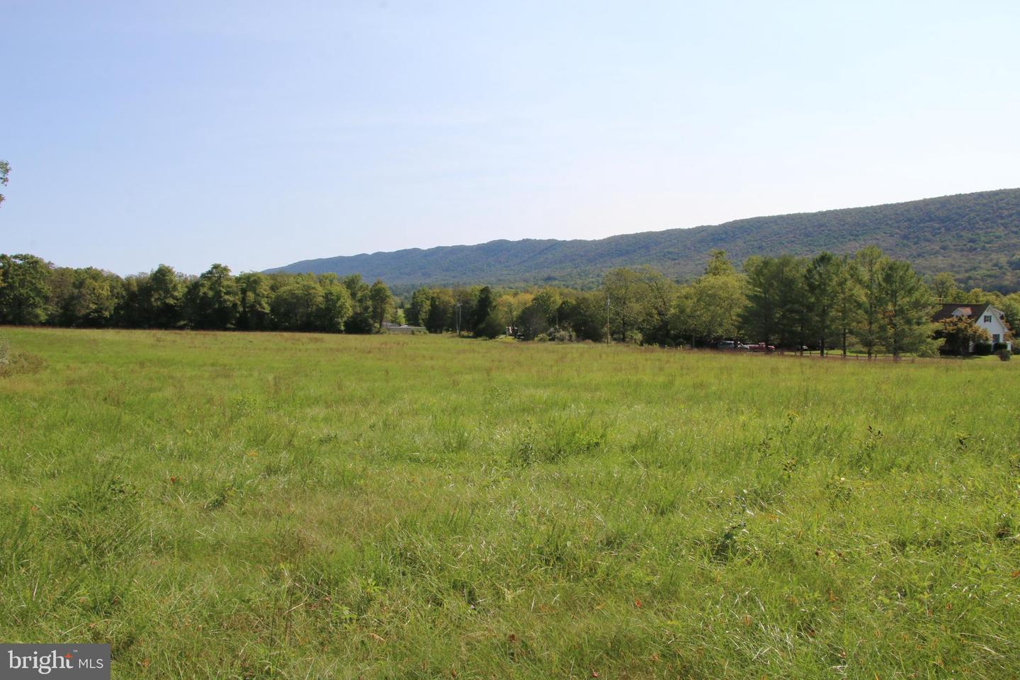 ZEPP RD, MAURERTOWN, Virginia 22644, ,Land,For sale,ZEPP RD,VASH2009672 MLS # VASH2009672