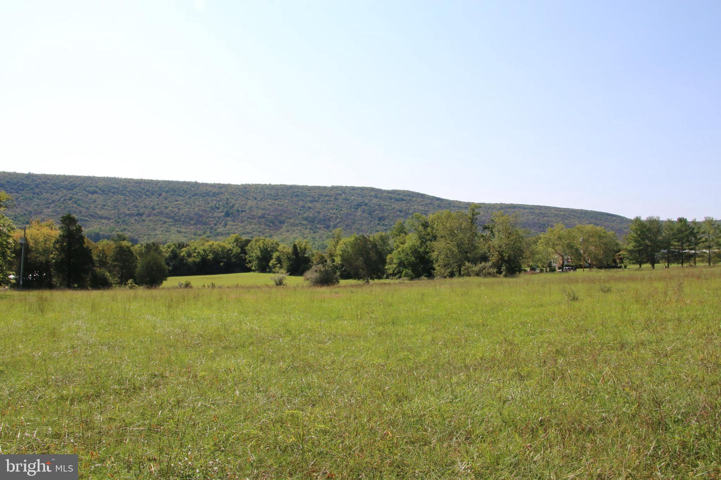 ZEPP RD, MAURERTOWN, Virginia 22644, ,Land,For sale,ZEPP RD,VASH2009672 MLS # VASH2009672