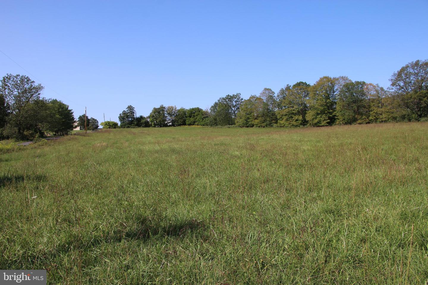 ZEPP RD, MAURERTOWN, Virginia 22644, ,Land,For sale,ZEPP RD,VASH2009672 MLS # VASH2009672