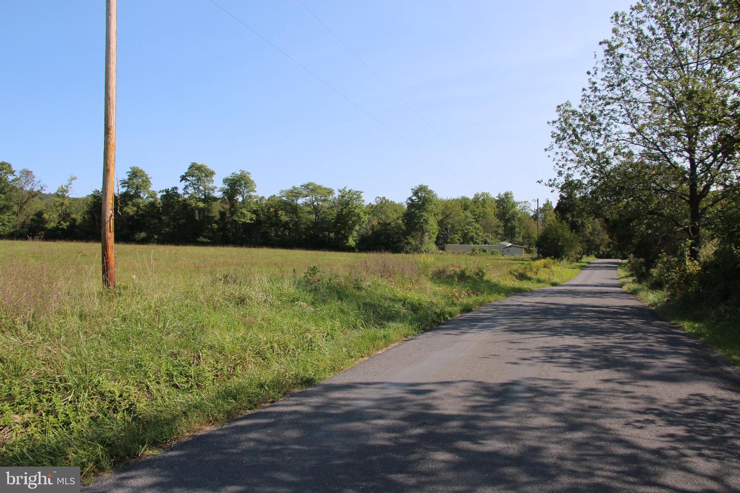 ZEPP RD, MAURERTOWN, Virginia 22644, ,Land,For sale,ZEPP RD,VASH2009672 MLS # VASH2009672