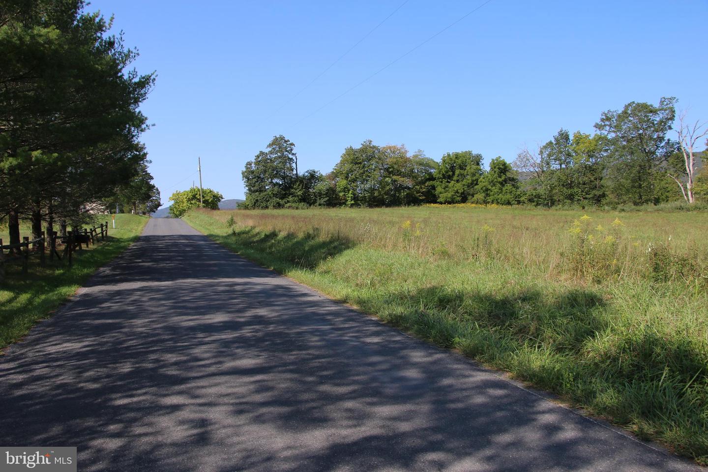 ZEPP RD, MAURERTOWN, Virginia 22644, ,Land,For sale,ZEPP RD,VASH2009672 MLS # VASH2009672