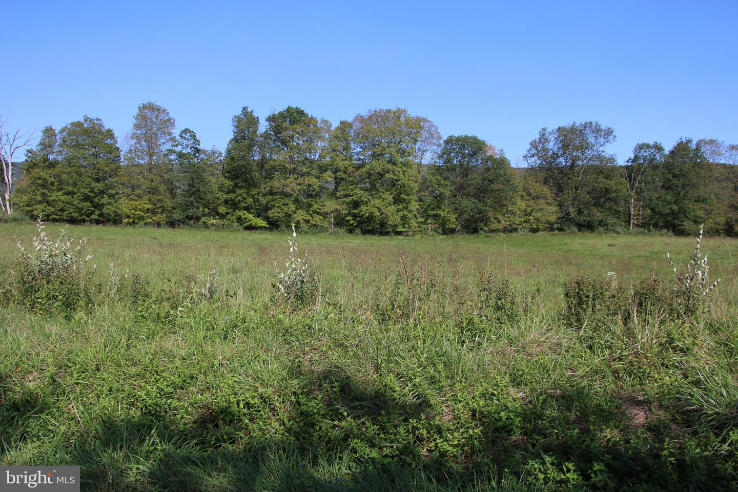 ZEPP RD, MAURERTOWN, Virginia 22644, ,Land,For sale,ZEPP RD,VASH2009672 MLS # VASH2009672