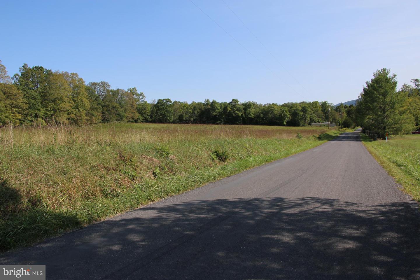 ZEPP RD, MAURERTOWN, Virginia 22644, ,Land,For sale,ZEPP RD,VASH2009672 MLS # VASH2009672