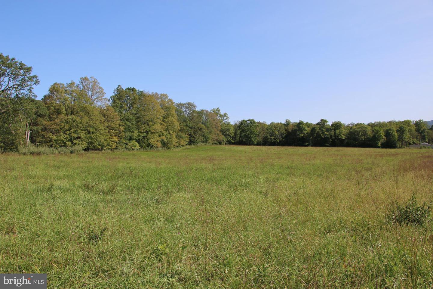 ZEPP RD, MAURERTOWN, Virginia 22644, ,Land,For sale,ZEPP RD,VASH2009672 MLS # VASH2009672