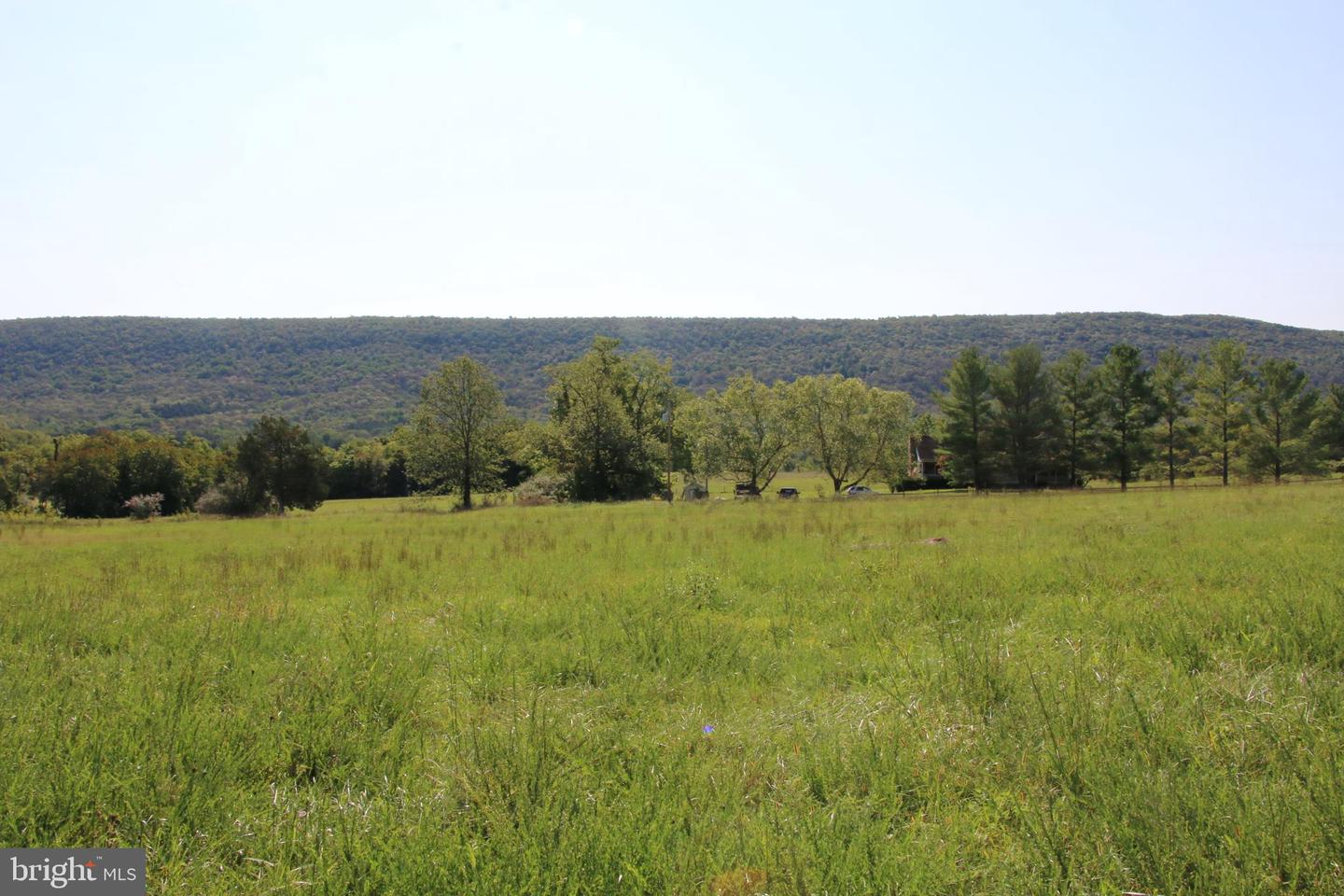 ZEPP RD, MAURERTOWN, Virginia 22644, ,Land,For sale,ZEPP RD,VASH2009672 MLS # VASH2009672