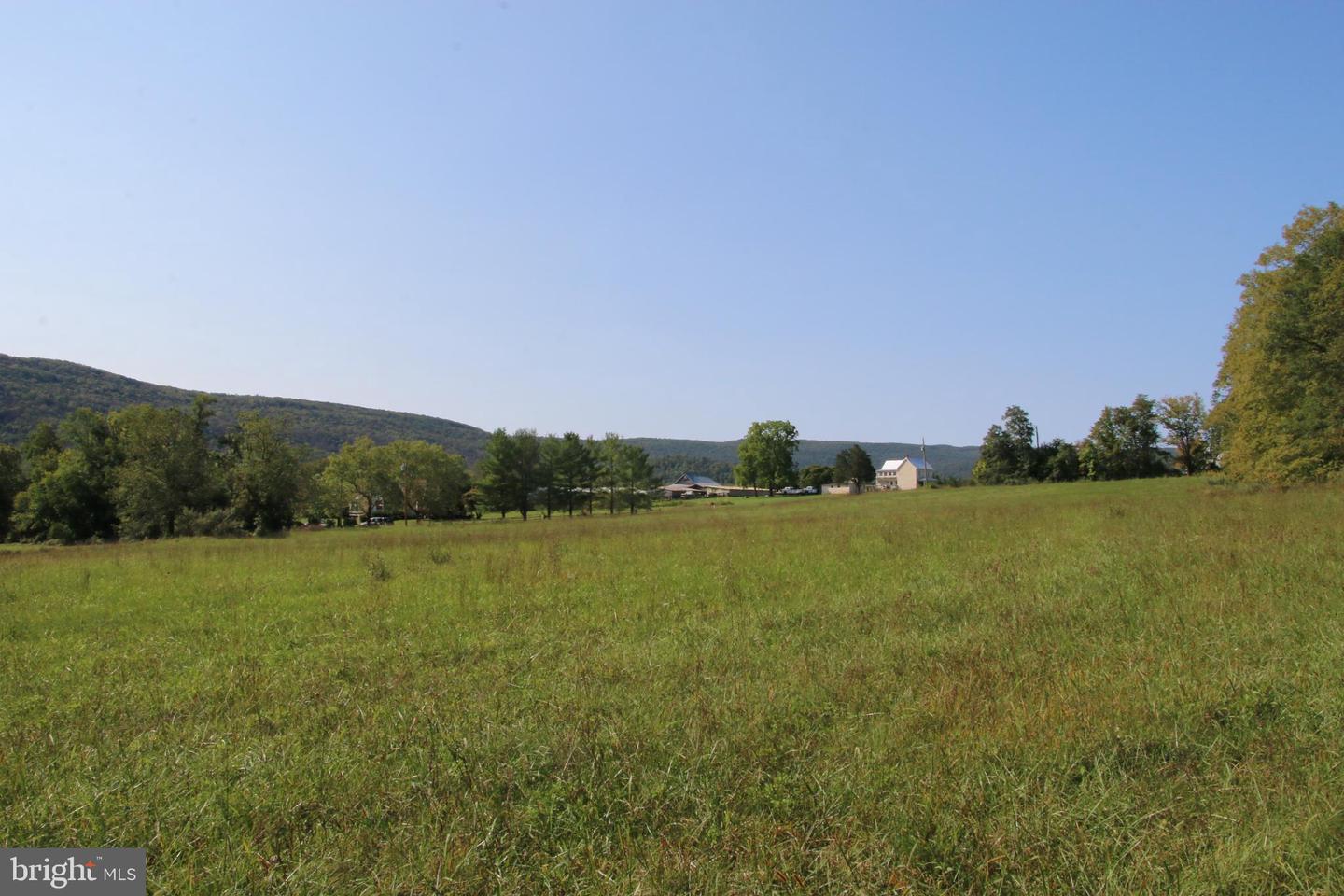 ZEPP RD, MAURERTOWN, Virginia 22644, ,Land,For sale,ZEPP RD,VASH2009672 MLS # VASH2009672