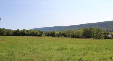 ZEPP RD, MAURERTOWN, Virginia 22644, ,Land,For sale,ZEPP RD,VASH2009672 MLS # VASH2009672