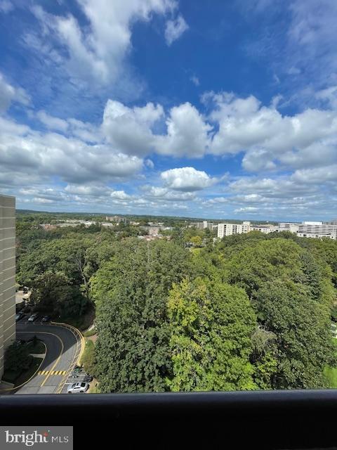 203 YOAKUM PKWY #1821, ALEXANDRIA, Virginia 22304, 2 Bedrooms Bedrooms, ,2 BathroomsBathrooms,Residential,For sale,203 YOAKUM PKWY #1821,VAAX2038208 MLS # VAAX2038208