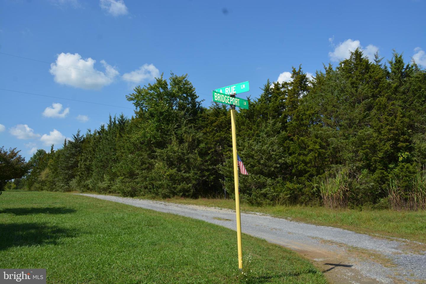 25+ ACRES BLUE RIDGE LANE, WINCHESTER, Virginia 22602, ,Land,For sale,25+ ACRES BLUE RIDGE LANE,VAFV2021838 MLS # VAFV2021838