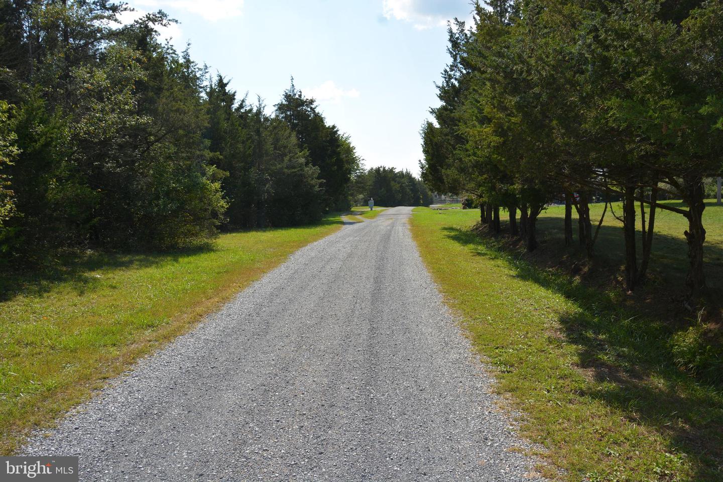 25+ ACRES BLUE RIDGE LANE, WINCHESTER, Virginia 22602, ,Land,For sale,25+ ACRES BLUE RIDGE LANE,VAFV2021838 MLS # VAFV2021838