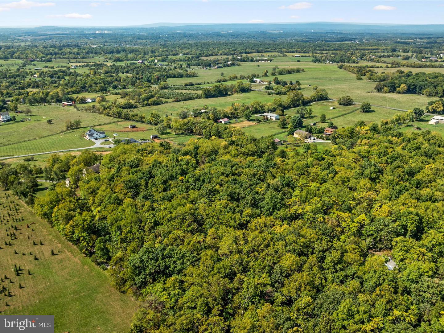 3460 CRUMS CHURCH RD, BERRYVILLE, Virginia 22611, 4 Bedrooms Bedrooms, ,2 BathroomsBathrooms,Residential,For sale,3460 CRUMS CHURCH RD,VACL2002998 MLS # VACL2002998