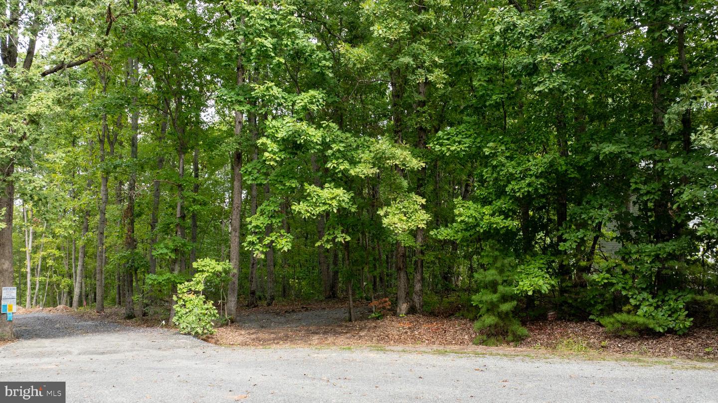 LOT 11 PARK RUN, MINERAL, Virginia 23117, ,Land,For sale,LOT 11 PARK RUN,VALA2006544 MLS # VALA2006544