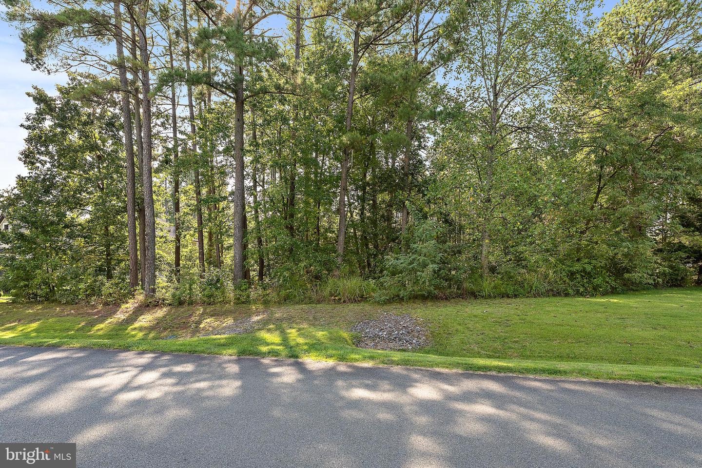 11520 GENERAL WADSWORTH DR, SPOTSYLVANIA, Virginia 22551, ,Land,For sale,11520 GENERAL WADSWORTH DR,VASP2027844 MLS # VASP2027844