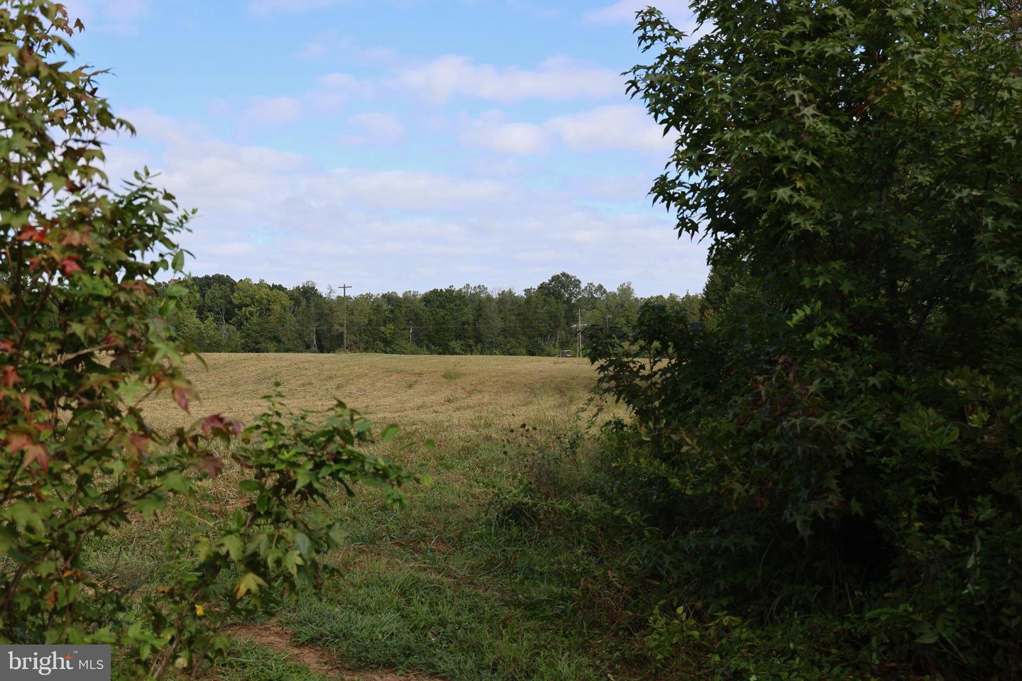 0 CROSS COUNTY RD #CROSS COUNTY ROAD, MINERAL, Virginia 23117, ,Land,For sale,0 CROSS COUNTY RD #CROSS COUNTY ROAD,VALA2006560 MLS # VALA2006560