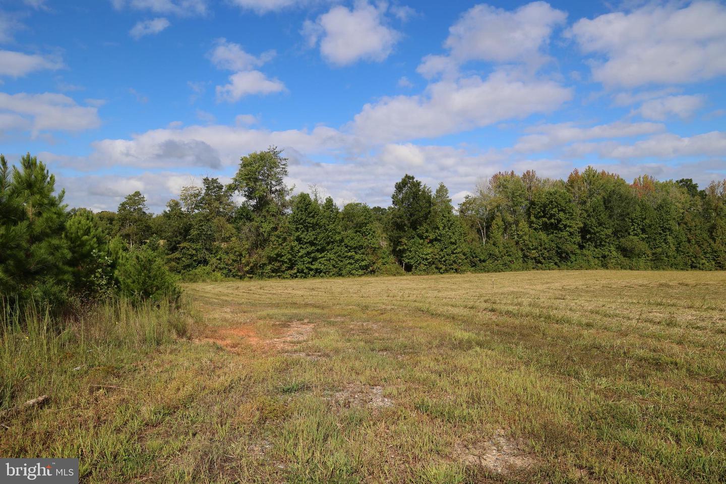 0 CROSS COUNTY RD #CROSS COUNTY ROAD, MINERAL, Virginia 23117, ,Land,For sale,0 CROSS COUNTY RD #CROSS COUNTY ROAD,VALA2006560 MLS # VALA2006560