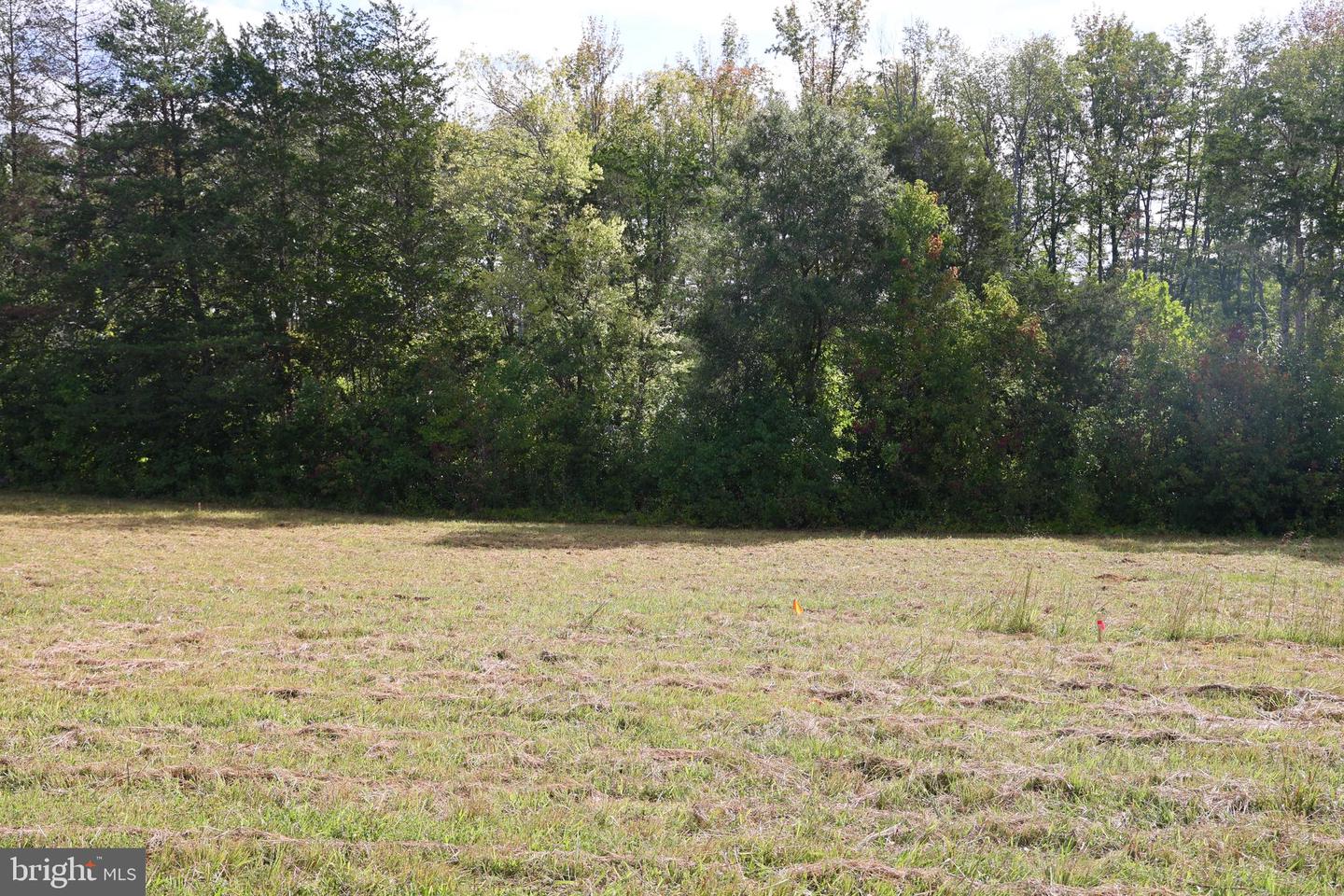 00 CROSS COUNTY RD, MINERAL, Virginia 23117, ,Land,For sale,00 CROSS COUNTY RD,VALA2006562 MLS # VALA2006562