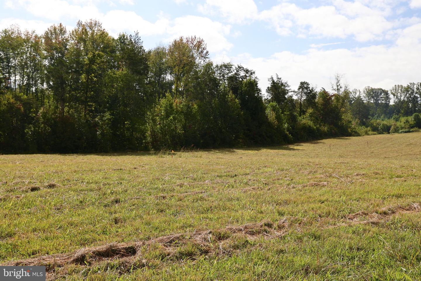 00 CROSS COUNTY RD, MINERAL, Virginia 23117, ,Land,For sale,00 CROSS COUNTY RD,VALA2006562 MLS # VALA2006562