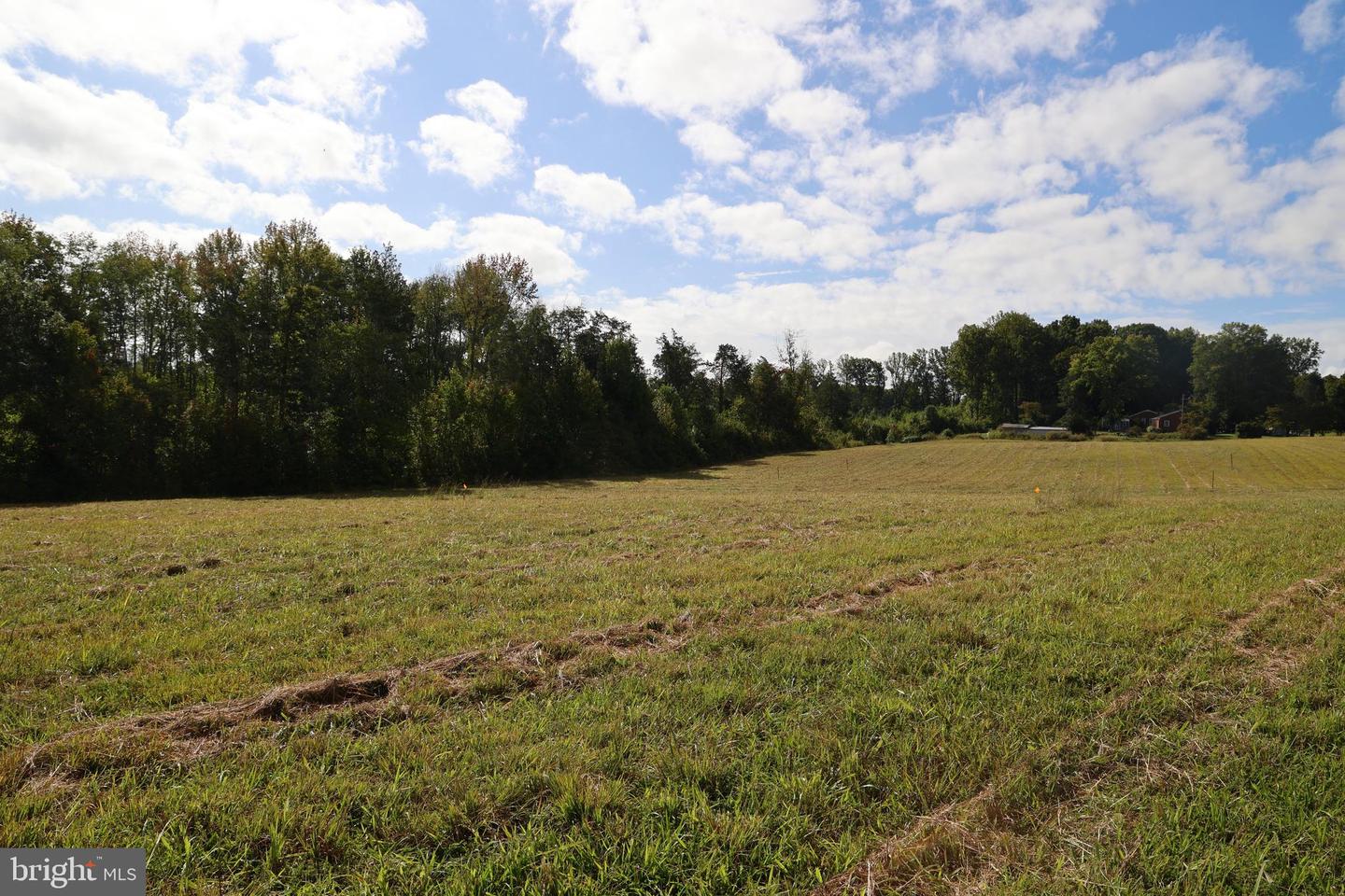 00 CROSS COUNTY RD, MINERAL, Virginia 23117, ,Land,For sale,00 CROSS COUNTY RD,VALA2006562 MLS # VALA2006562