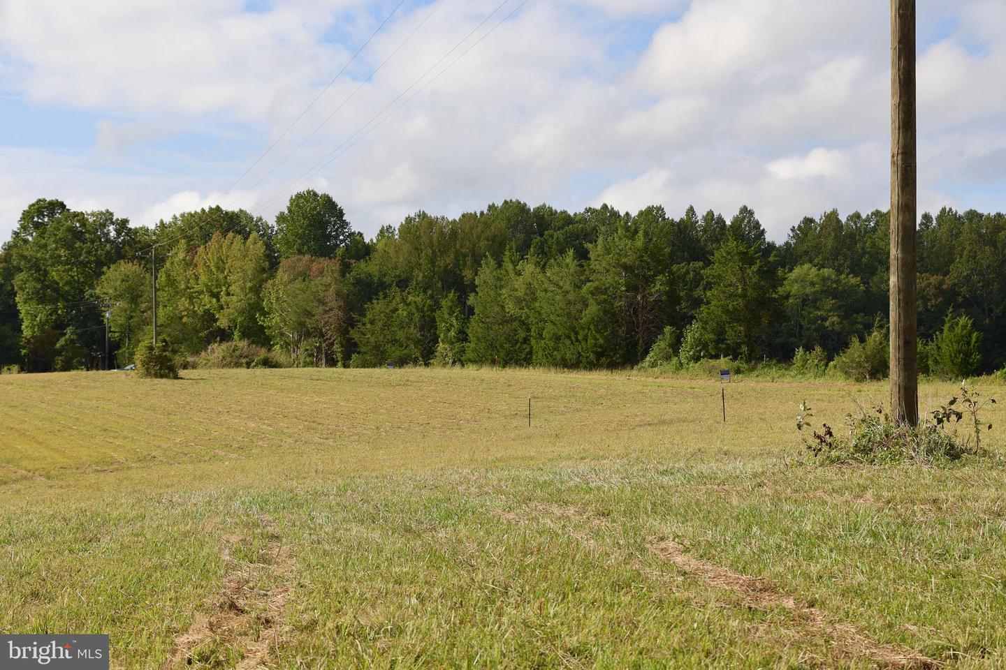 00 CROSS COUNTY RD, MINERAL, Virginia 23117, ,Land,For sale,00 CROSS COUNTY RD,VALA2006562 MLS # VALA2006562