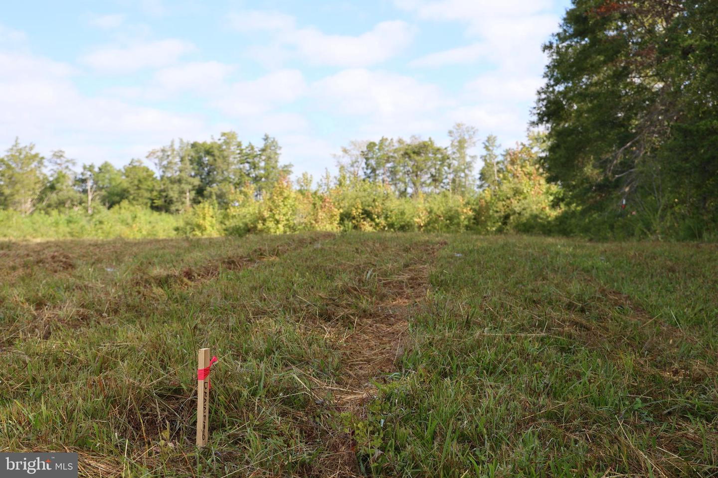 00 CROSS COUNTY RD, MINERAL, Virginia 23117, ,Land,For sale,00 CROSS COUNTY RD,VALA2006562 MLS # VALA2006562