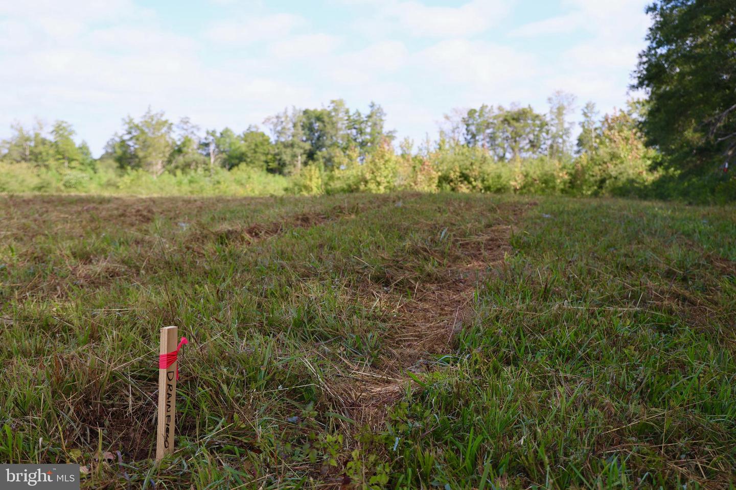 00 CROSS COUNTY RD, MINERAL, Virginia 23117, ,Land,For sale,00 CROSS COUNTY RD,VALA2006562 MLS # VALA2006562