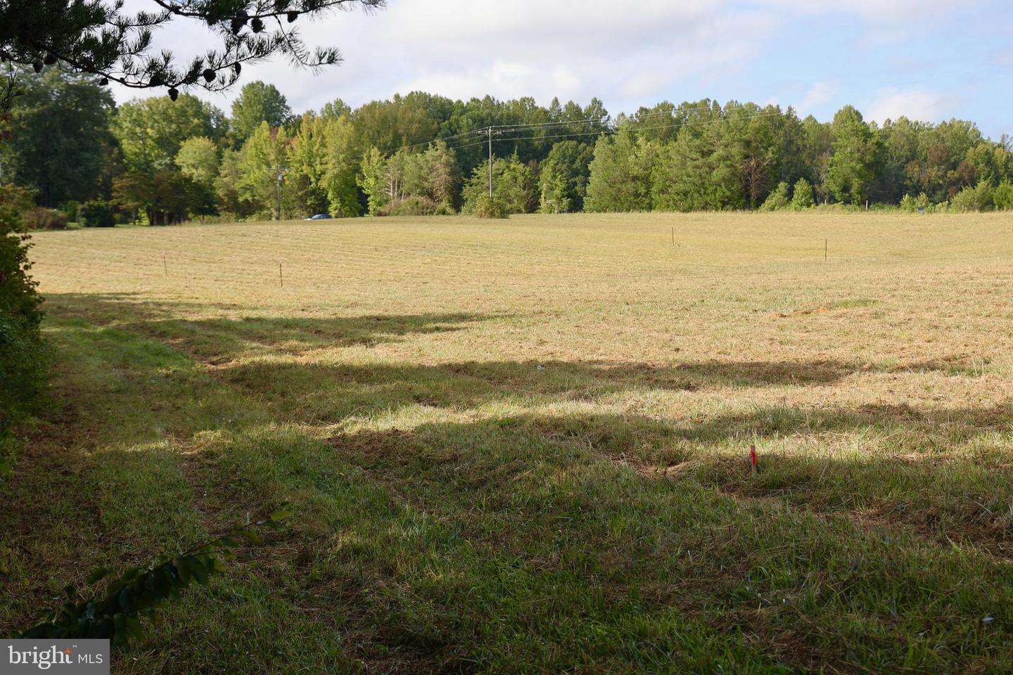 00 CROSS COUNTY RD, MINERAL, Virginia 23117, ,Land,For sale,00 CROSS COUNTY RD,VALA2006562 MLS # VALA2006562