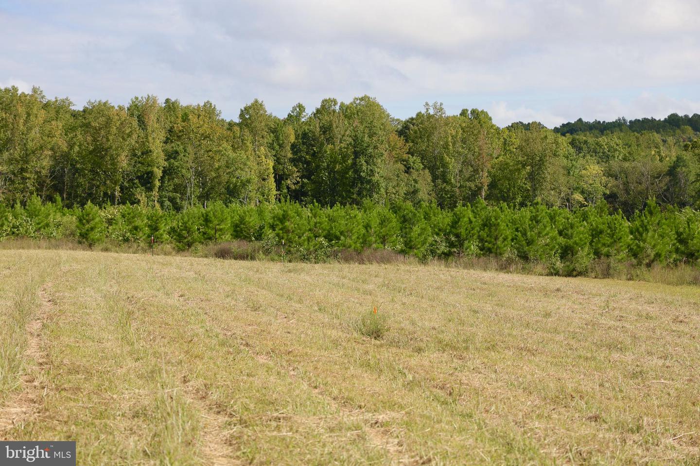 00 CROSS COUNTY RD, MINERAL, Virginia 23117, ,Land,For sale,00 CROSS COUNTY RD,VALA2006562 MLS # VALA2006562