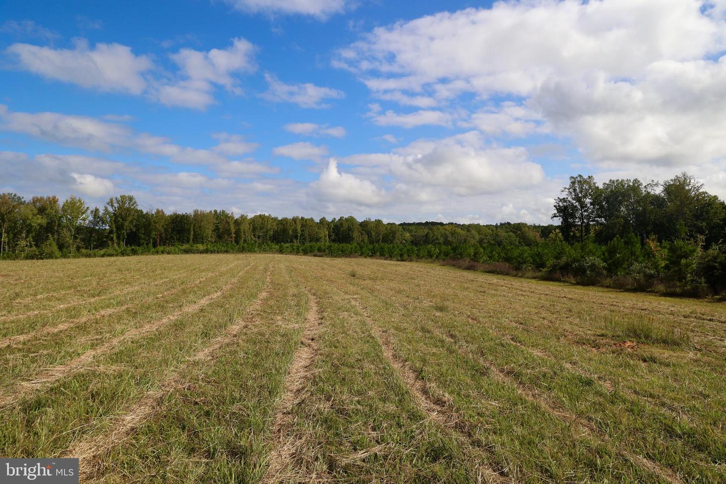 00 CROSS COUNTY RD, MINERAL, Virginia 23117, ,Land,For sale,00 CROSS COUNTY RD,VALA2006562 MLS # VALA2006562