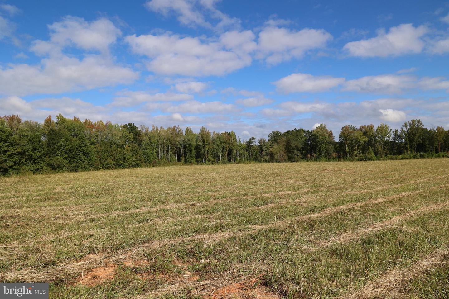 00 CROSS COUNTY RD, MINERAL, Virginia 23117, ,Land,For sale,00 CROSS COUNTY RD,VALA2006562 MLS # VALA2006562