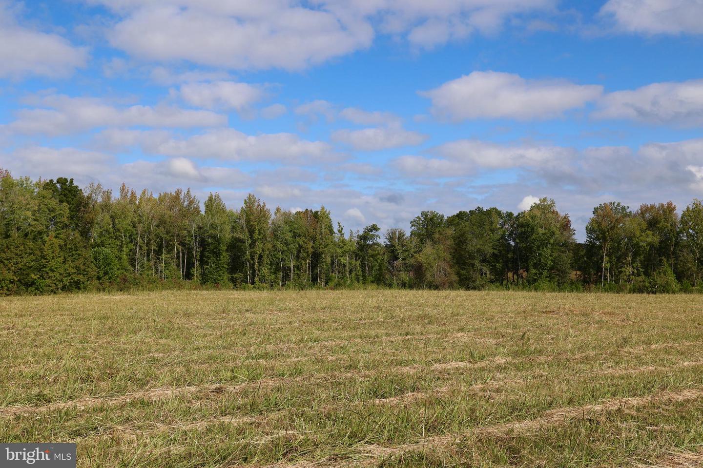 00 CROSS COUNTY RD, MINERAL, Virginia 23117, ,Land,For sale,00 CROSS COUNTY RD,VALA2006562 MLS # VALA2006562