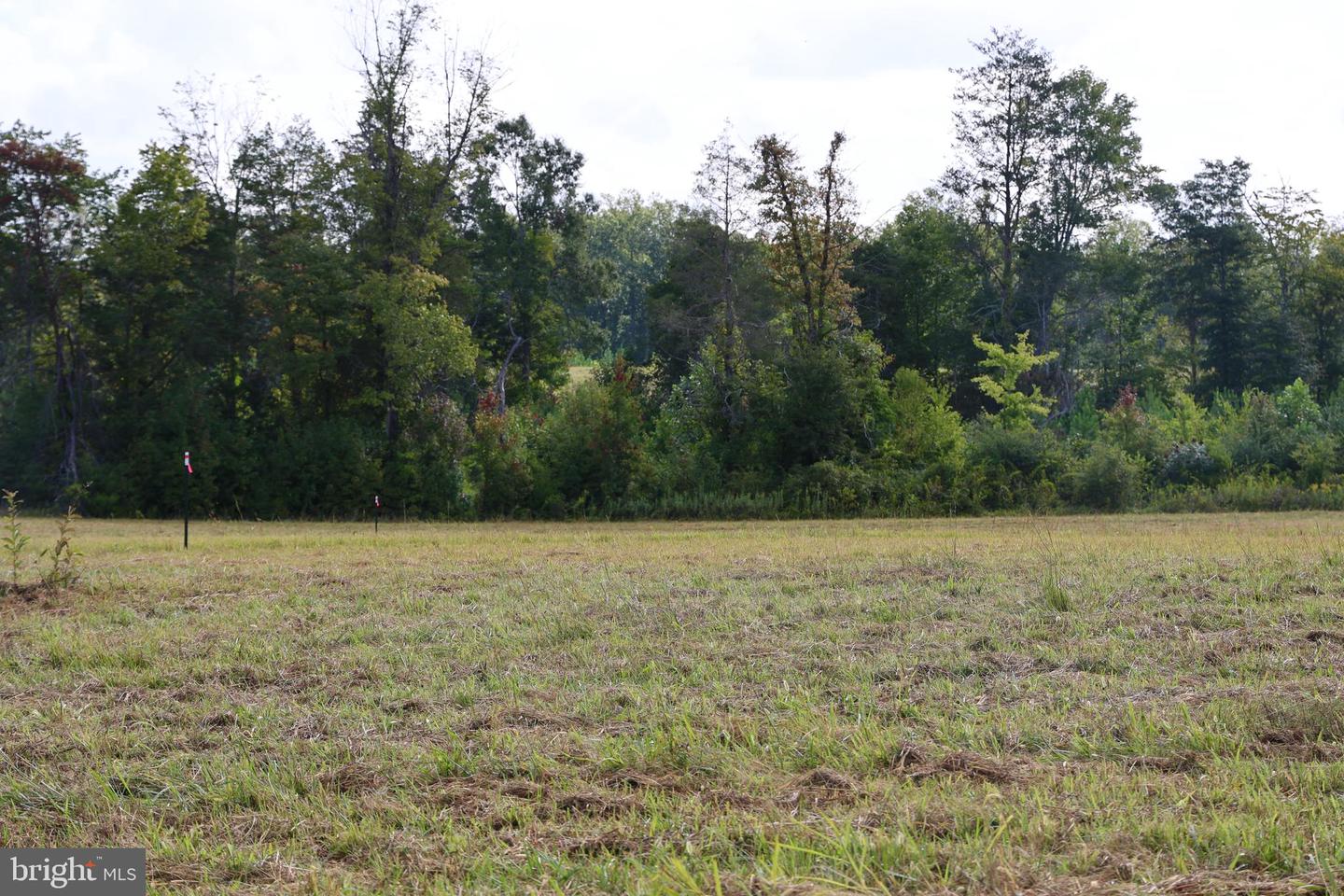 00 CROSS COUNTY RD, MINERAL, Virginia 23117, ,Land,For sale,00 CROSS COUNTY RD,VALA2006562 MLS # VALA2006562