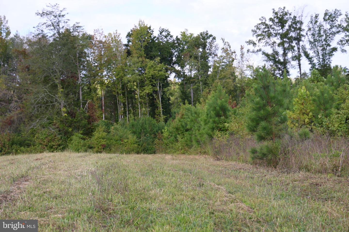 00 CROSS COUNTY RD, MINERAL, Virginia 23117, ,Land,For sale,00 CROSS COUNTY RD,VALA2006562 MLS # VALA2006562