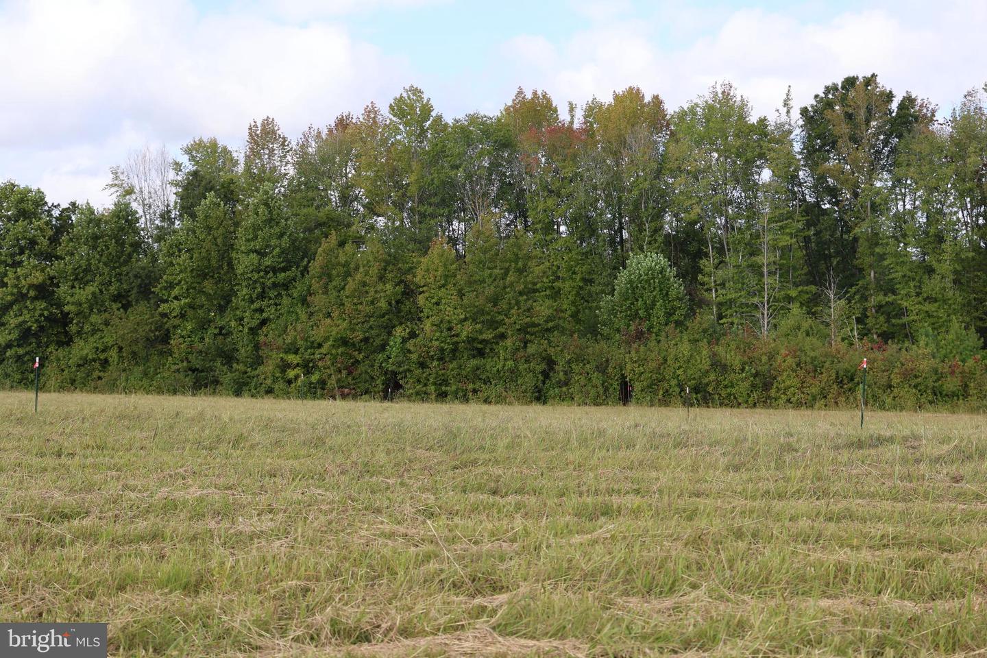 00 CROSS COUNTY RD, MINERAL, Virginia 23117, ,Land,For sale,00 CROSS COUNTY RD,VALA2006562 MLS # VALA2006562