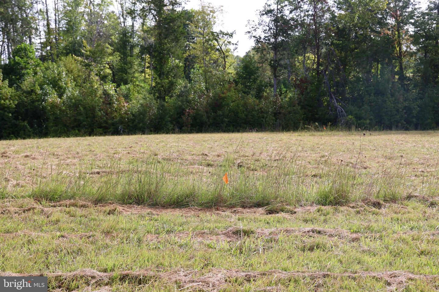 00 CROSS COUNTY RD, MINERAL, Virginia 23117, ,Land,For sale,00 CROSS COUNTY RD,VALA2006562 MLS # VALA2006562