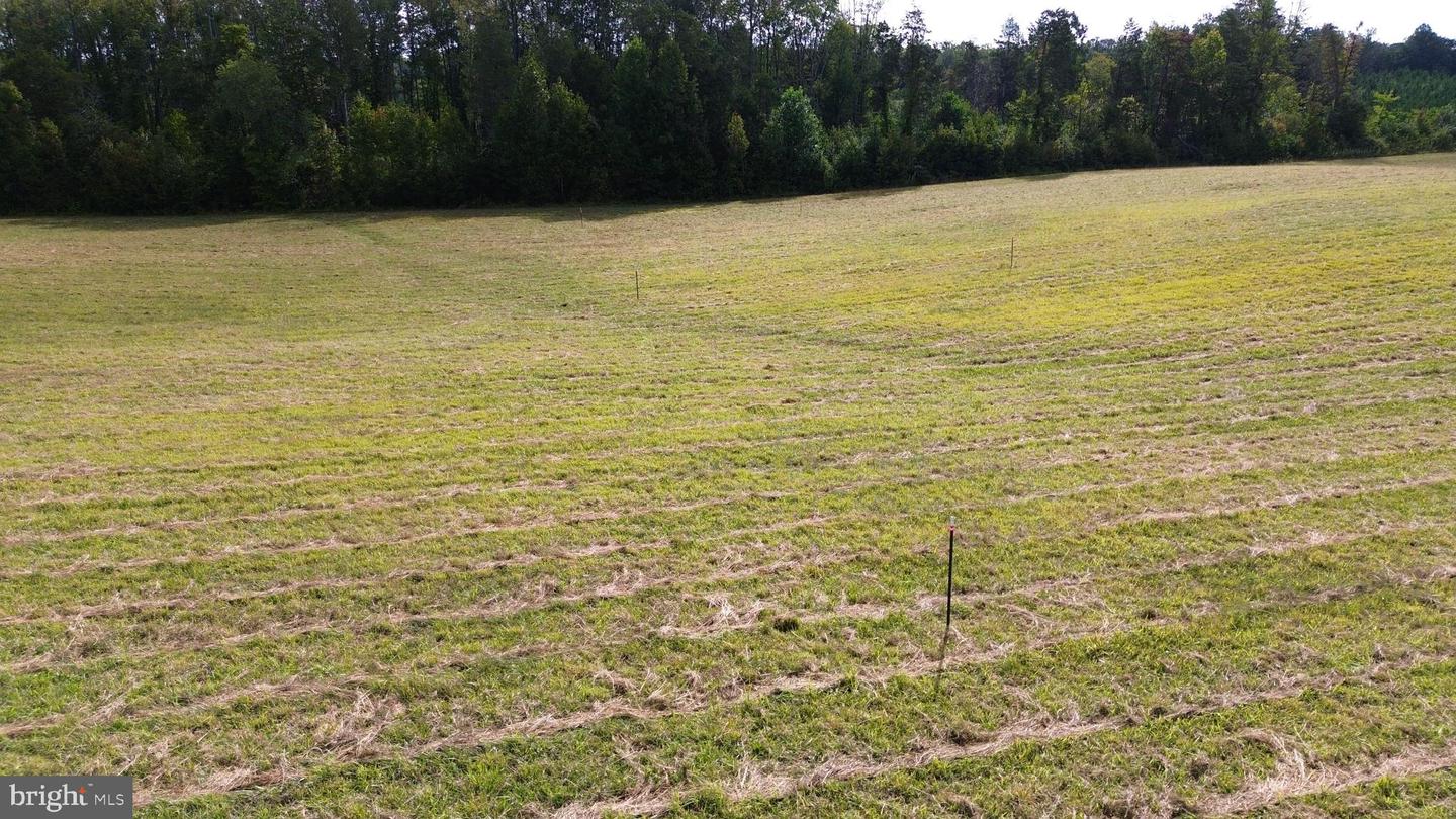 00 CROSS COUNTY RD, MINERAL, Virginia 23117, ,Land,For sale,00 CROSS COUNTY RD,VALA2006562 MLS # VALA2006562