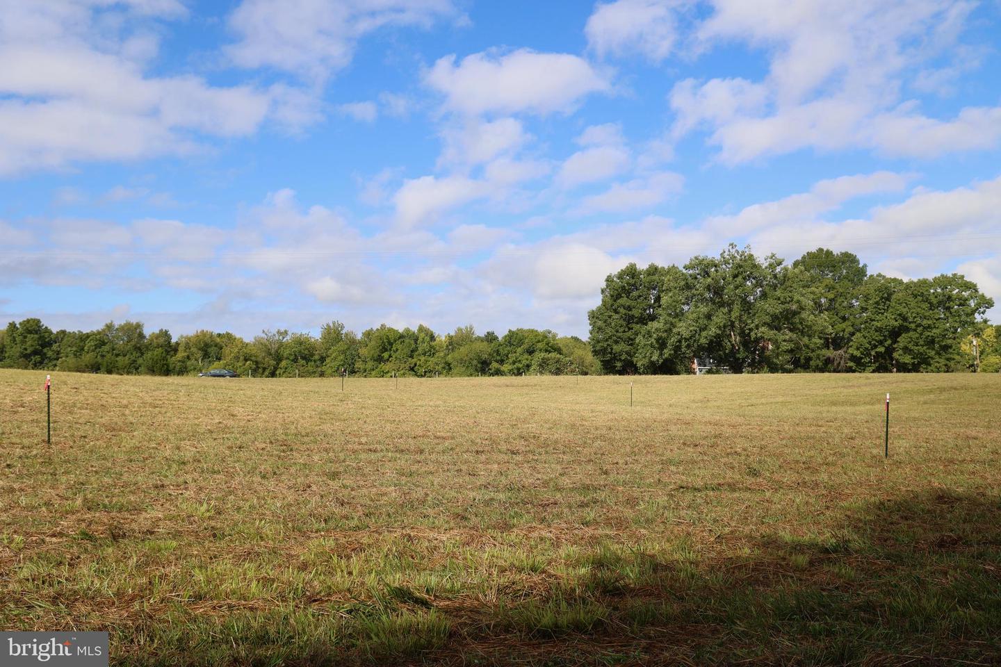 00 CROSS COUNTY RD, MINERAL, Virginia 23117, ,Land,For sale,00 CROSS COUNTY RD,VALA2006562 MLS # VALA2006562