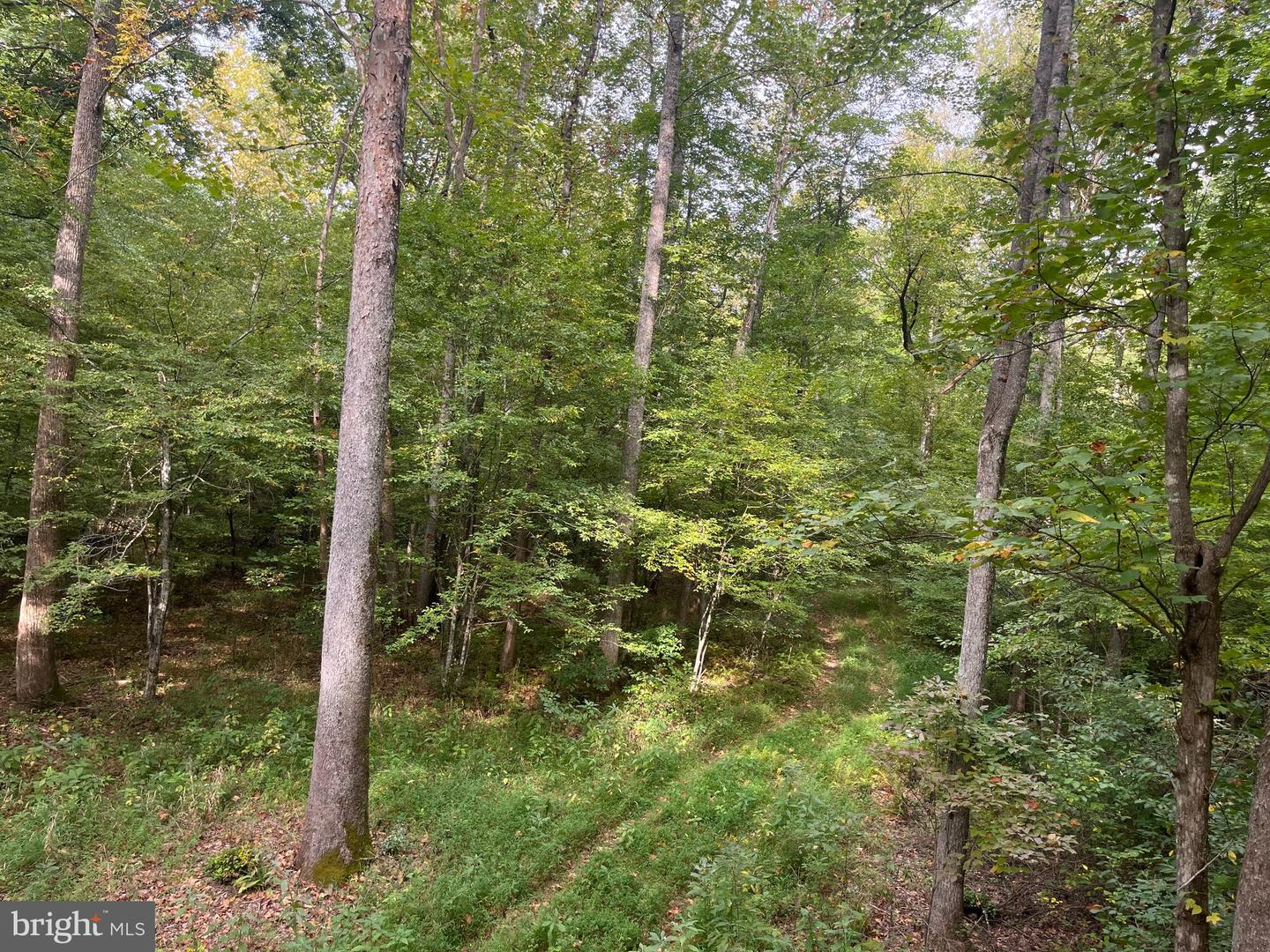 0 DREAMING CREEK HOLLOW, AMHERST, Virginia 24521, ,Land,For sale,0 DREAMING CREEK HOLLOW,VAAH2000056 MLS # VAAH2000056