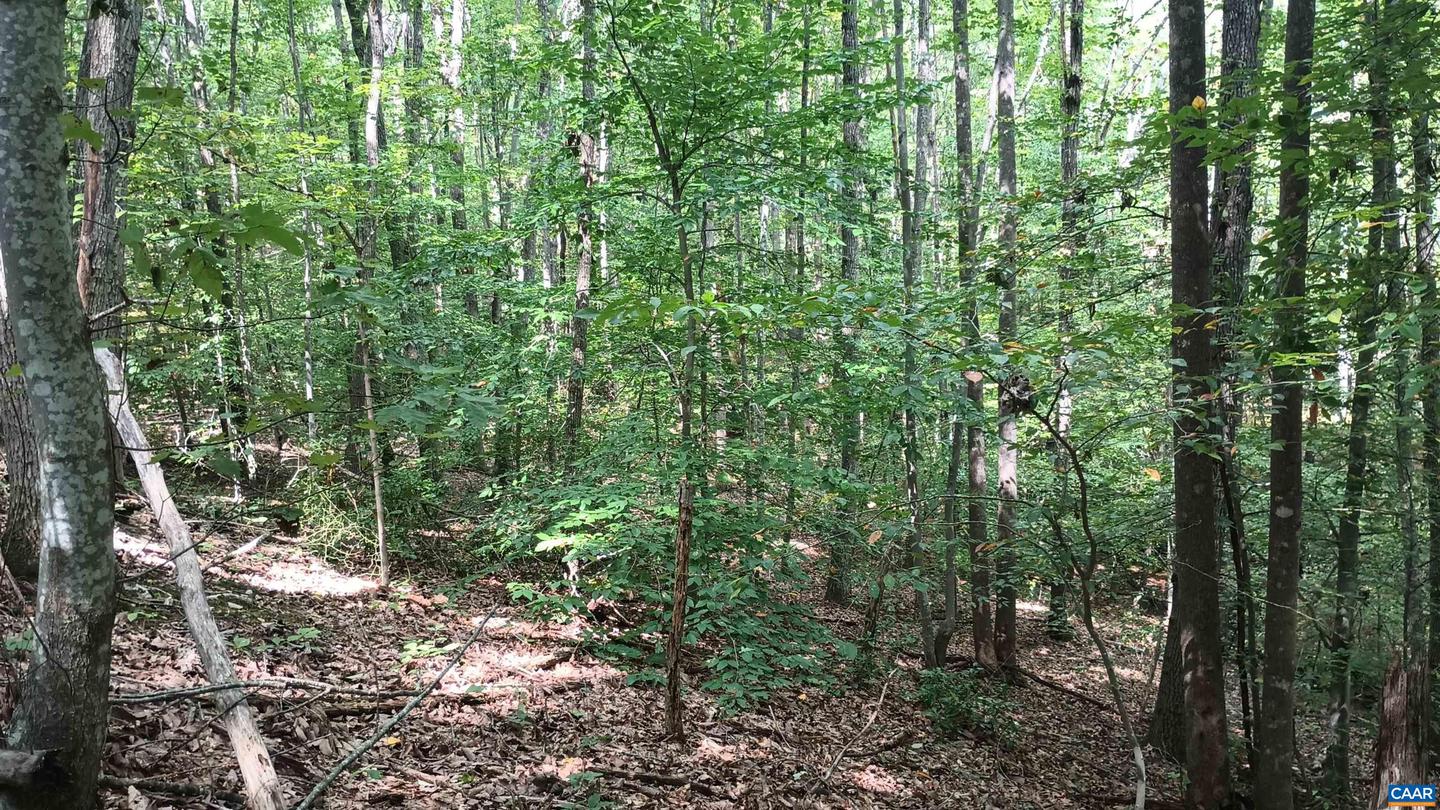 0 PINEY MOUNTAIN LN #22, SHIPMAN, Virginia 22971, ,Land,For sale,0 PINEY MOUNTAIN LN #22,657214 MLS # 657214