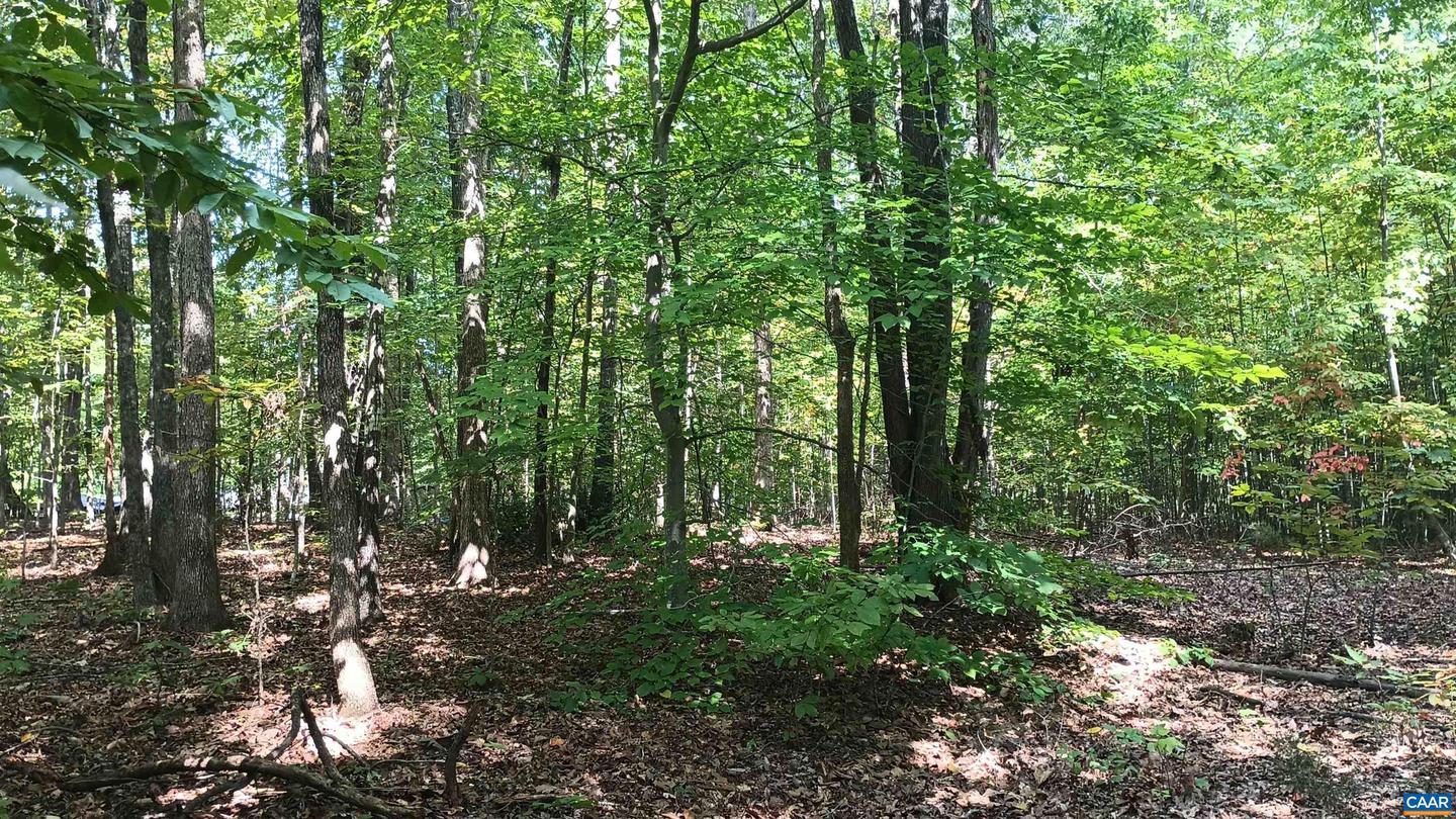 0 PINEY MOUNTAIN LN #22, SHIPMAN, Virginia 22971, ,Land,For sale,0 PINEY MOUNTAIN LN #22,657214 MLS # 657214