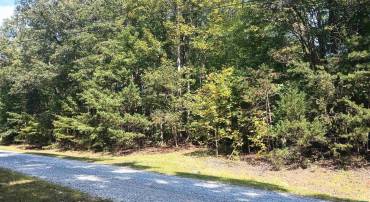 0 PINEY MOUNTAIN LN #22, SHIPMAN, Virginia 22971, ,Land,For sale,0 PINEY MOUNTAIN LN #22,657214 MLS # 657214