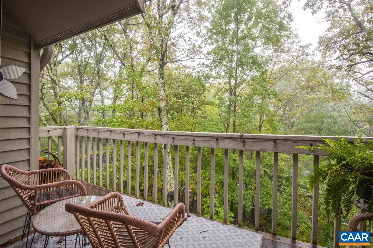 2248 TANNERS RIDGE, WINTERGREEN RESORT, Virginia 22967, 2 Bedrooms Bedrooms, ,2 BathroomsBathrooms,Residential,For sale,2248 TANNERS RIDGE,657135 MLS # 657135