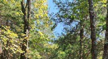 CA IRA RD #11, CUMBERLAND, Virginia 23040, ,Land,For sale,CA IRA RD #11,657235 MLS # 657235