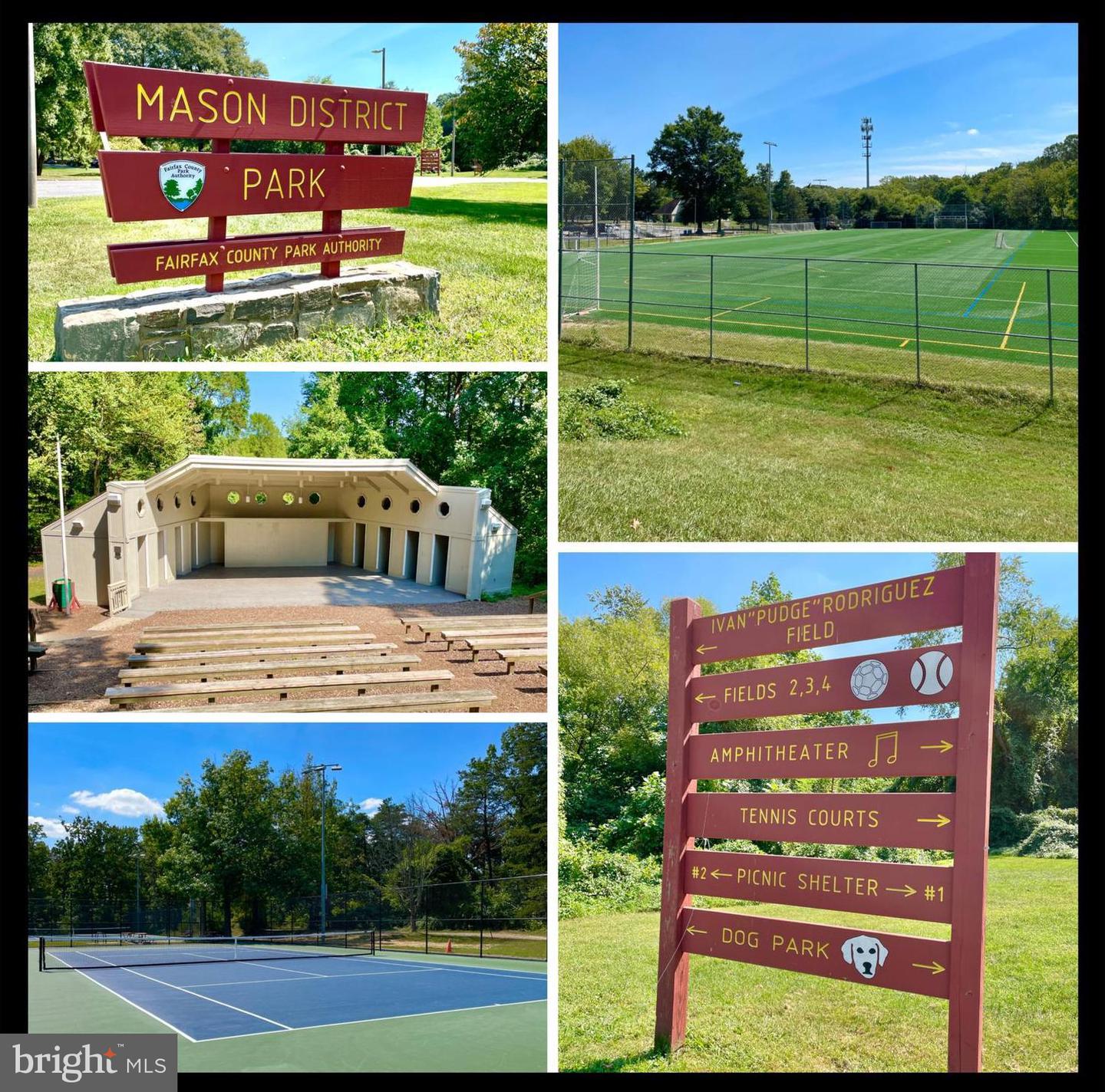 6459 OAKWOOD DR, FALLS CHURCH, Virginia 22041, 3 Bedrooms Bedrooms, ,2 BathroomsBathrooms,Residential,For sale,6459 OAKWOOD DR,VAFX2202742 MLS # VAFX2202742