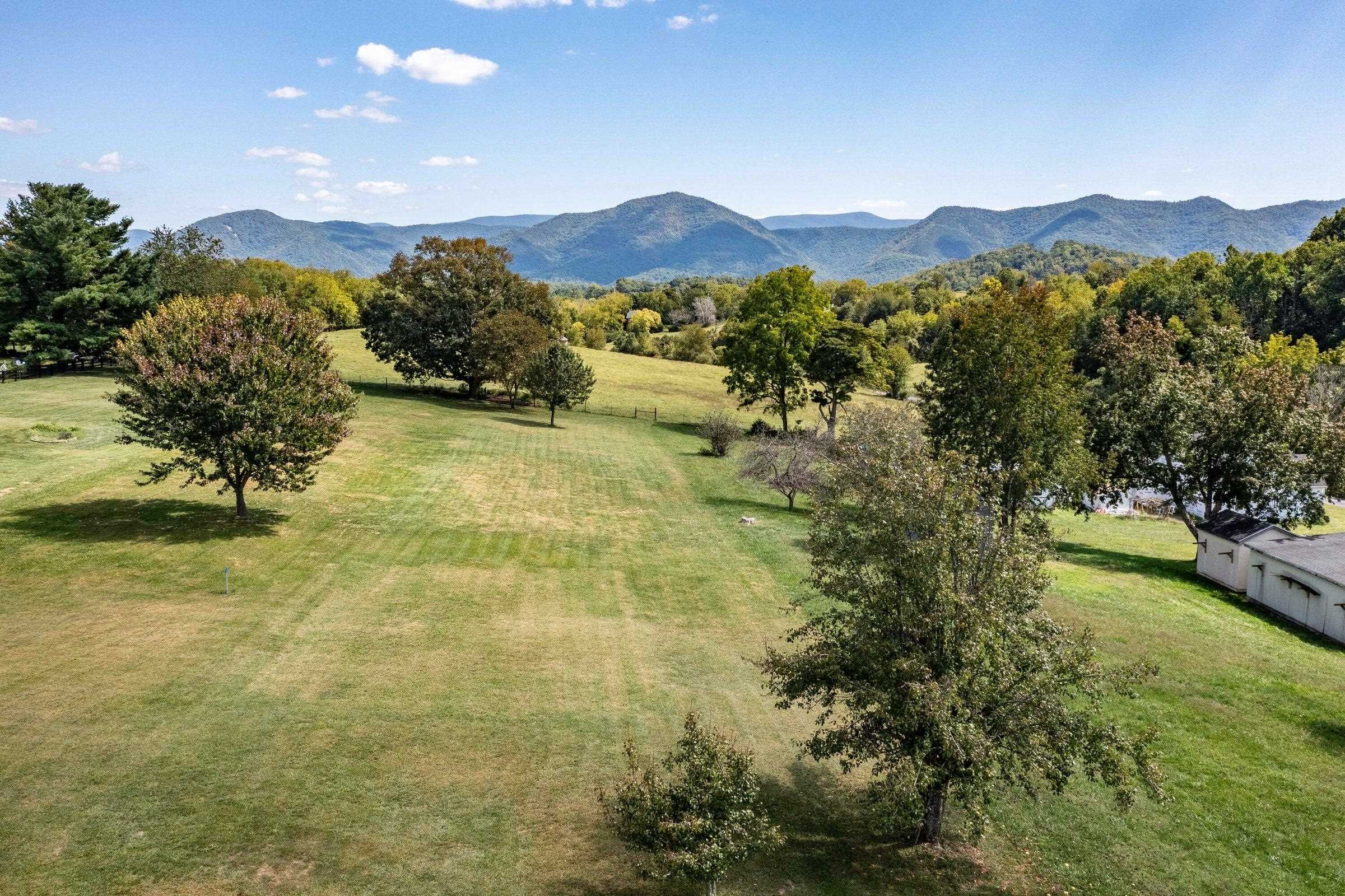 Look from the back of the house to the pasture. Lawns, fruit trees, garden space.