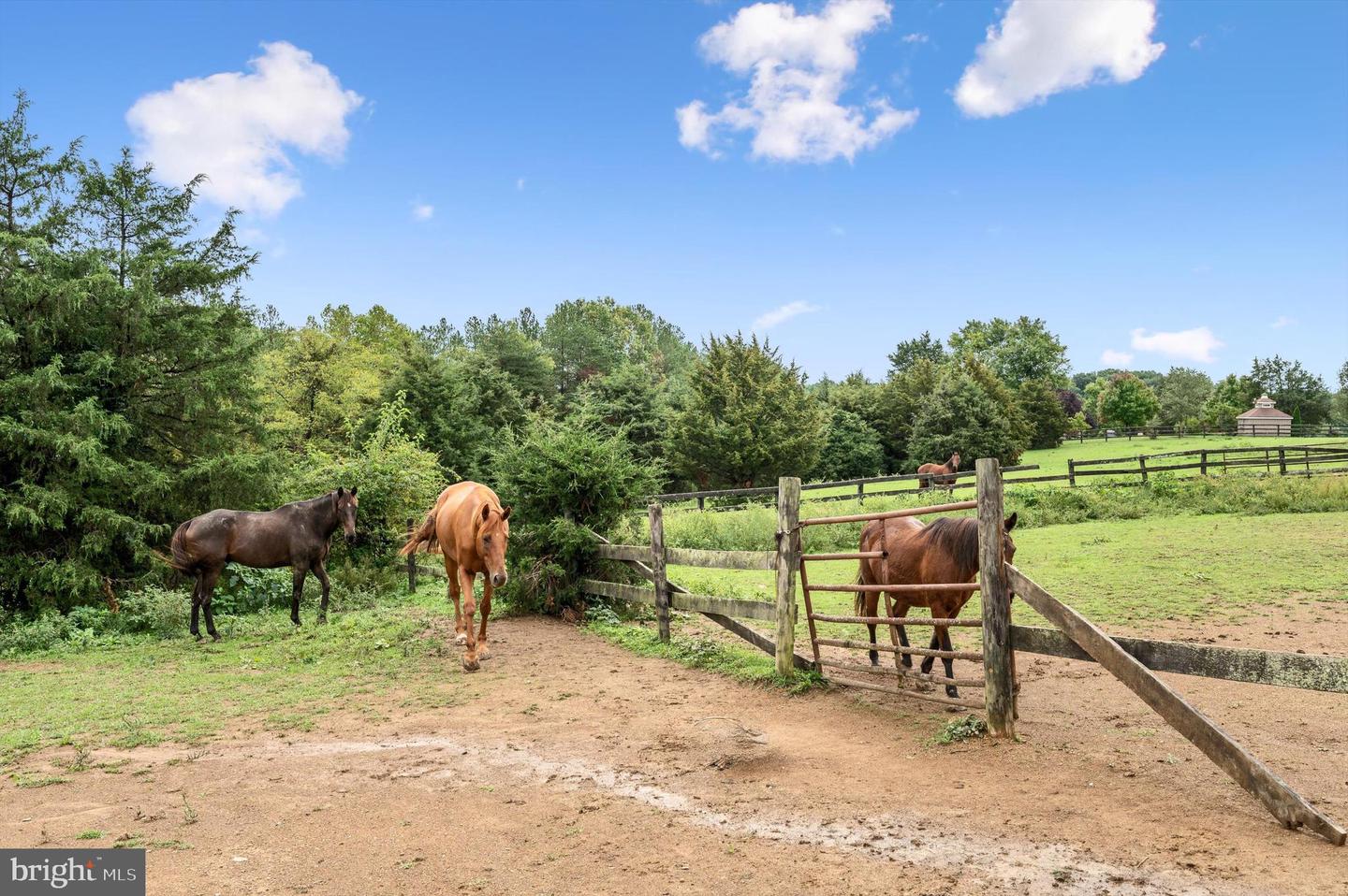 840 CARPERS VALLEY RD, WINCHESTER, Virginia 22602, 3 Bedrooms Bedrooms, ,2 BathroomsBathrooms,Residential,For sale,840 CARPERS VALLEY RD,VAFV2021742 MLS # VAFV2021742