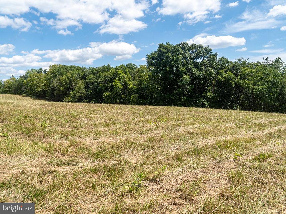 LOT 8 GALLOWAY SPRING LANE, SHENANDOAH, Virginia 22849, ,Land,For sale,LOT 8 GALLOWAY SPRING LANE,VAPA2004034 MLS # VAPA2004034