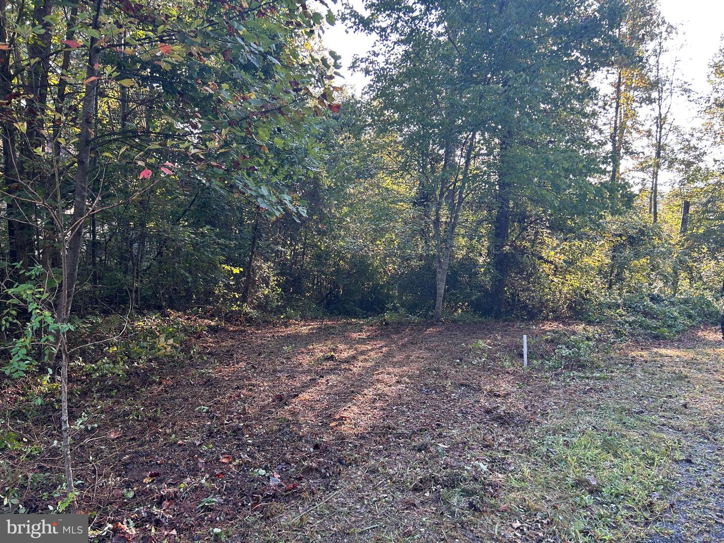 0 LOGTRAC, STANARDSVILLE, Virginia 22973, ,Land,For sale,0 LOGTRAC,VAGR2000592 MLS # VAGR2000592