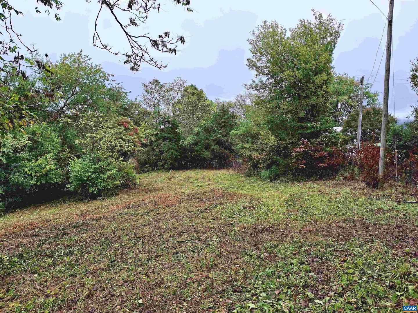 0 HORN HOLLOW LN #29-49A, MADISON, Virginia 22727, ,Land,For sale,0 HORN HOLLOW LN #29-49A,657291 MLS # 657291