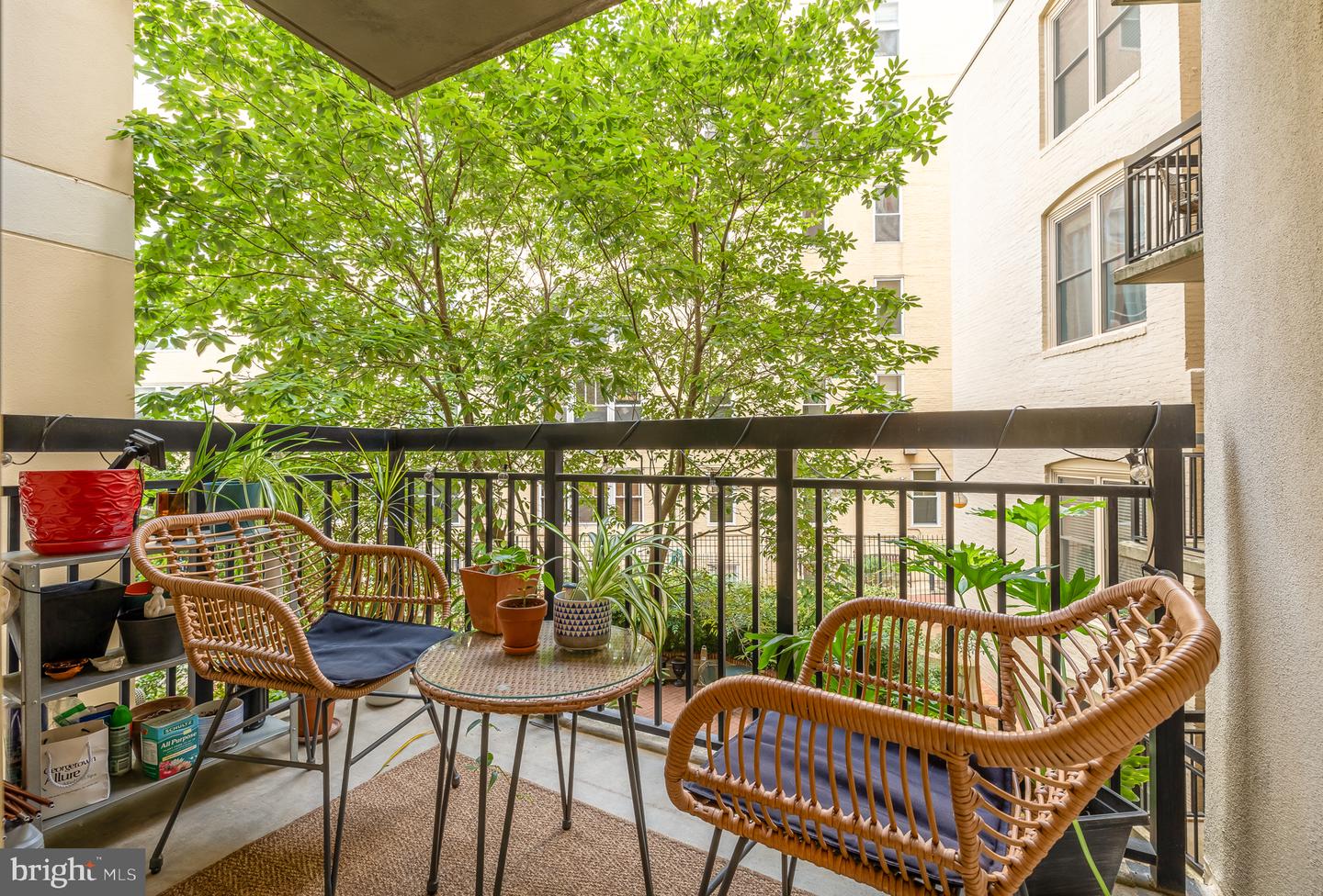 1441 RHODE ISLAND AVE NW #208, WASHINGTON, District Of Columbia 20005, 1 Bedroom Bedrooms, ,1 BathroomBathrooms,Residential,For sale,1441 RHODE ISLAND AVE NW #208,DCDC2159438 MLS # DCDC2159438